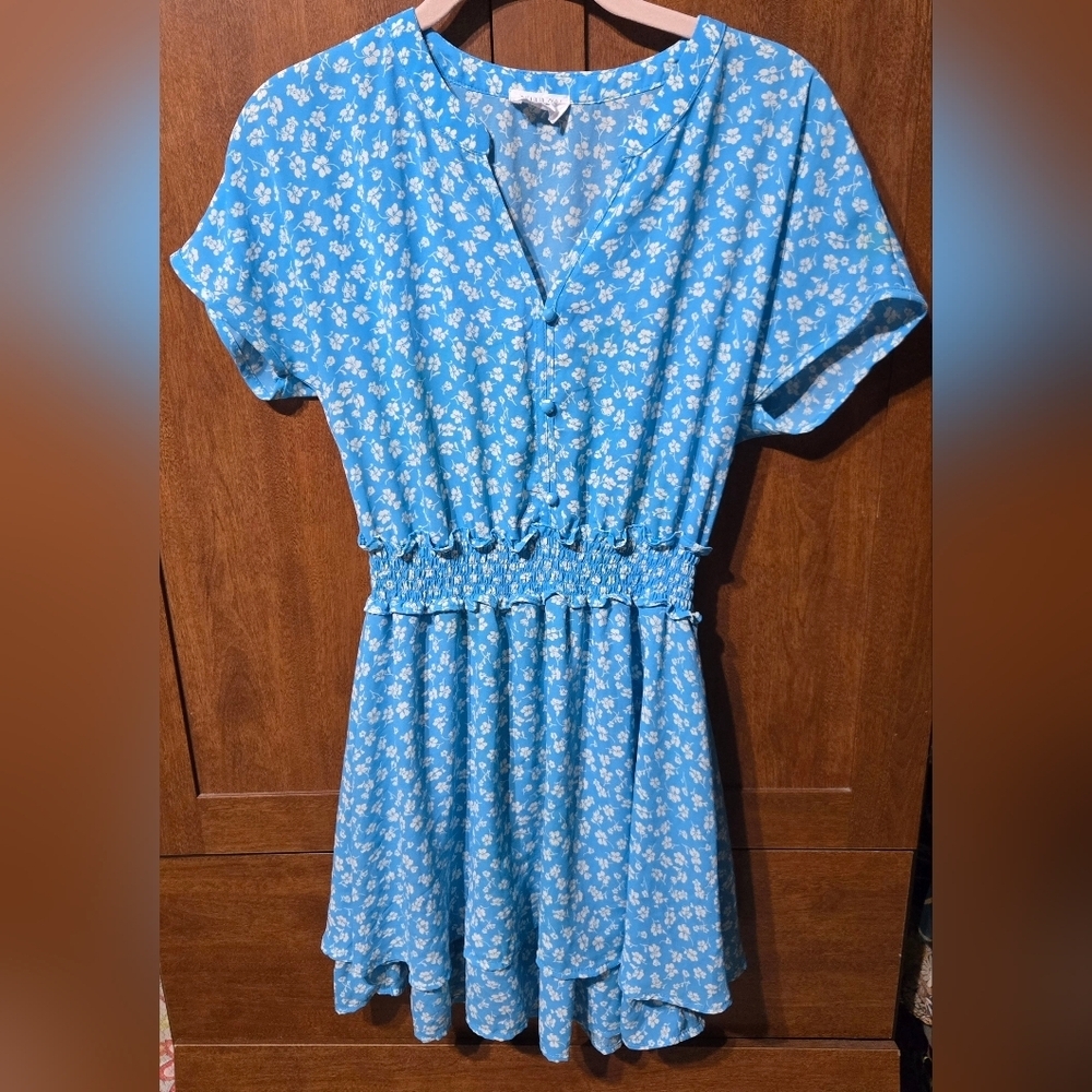 Sienna Sky Blue and White Floral Dress